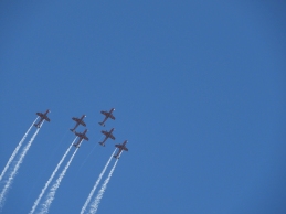 RAAF Roulettes