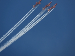 RAAF Roulettes