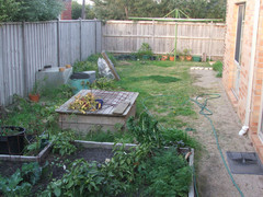 Veggie Garden to W